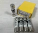 Lightning Arrestor
